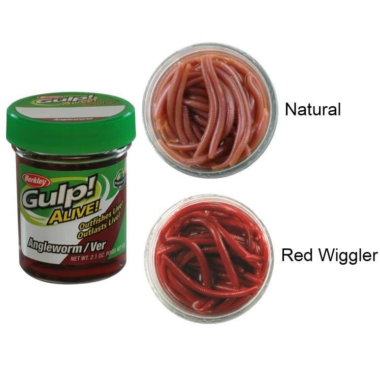Berkley Gulp! Alive® Angle Worm Red Wiggler - TroutShop