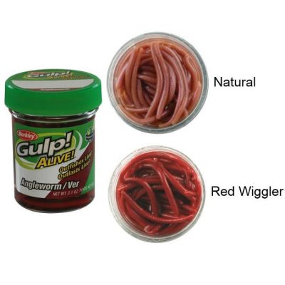 Berkley Gulp! Alive® Angle Worm Red Wiggler