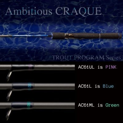 NORIES Ambitious CRAQUE AC61ML